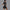 Black Pro Bodysuit