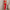 Crimson Coral Set