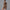Mocha Pro Bodysuit