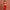 Crimson Coral Set