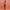 Crimson Coral Set