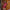 Wine Ruched Dress