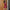 Wine Ruched Dress
